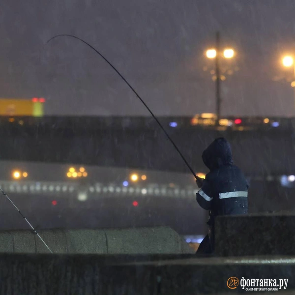 Источник: Дарья Драй / «Фонтанка.ру»