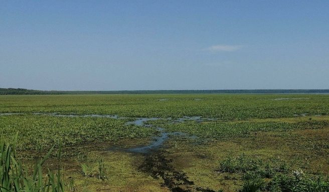Вода далеко ушла | Источник: «Яндекс.Карты»