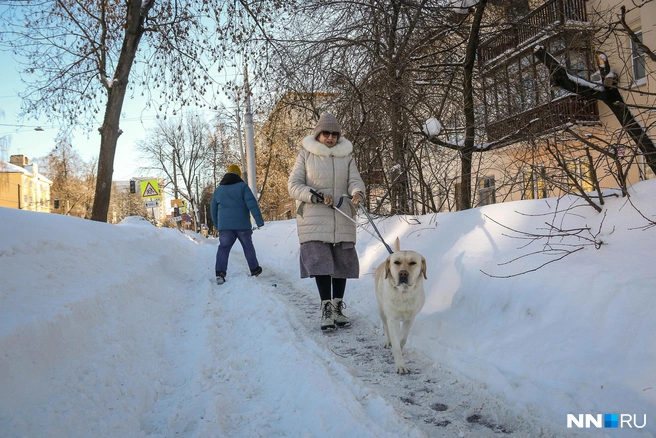 Ирина Сумарокова призналась, что без настырности достичь успеха было бы сложно | Источник: Наталья Бурухина / NN.RU