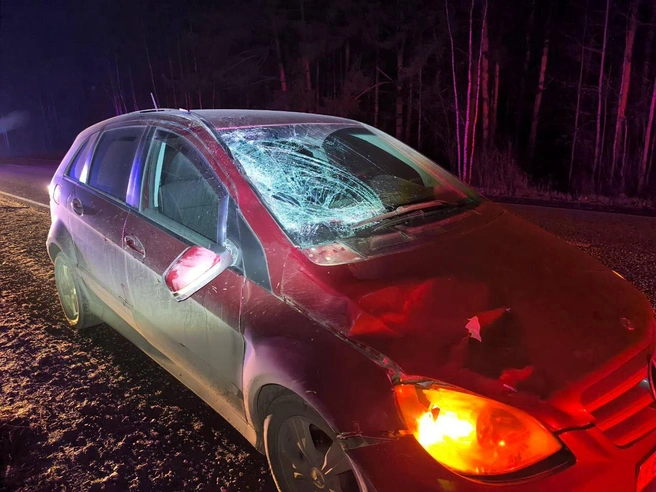 Мужчину сбил водитель Mercedes-Benz  | Источник: пресс-служба Госавтоинспекции Удмуртии 