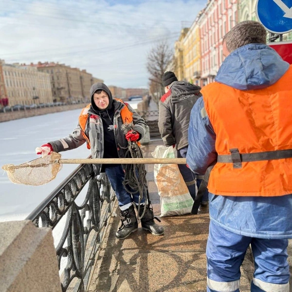 Источник: СПб ГБУ «Экострой»