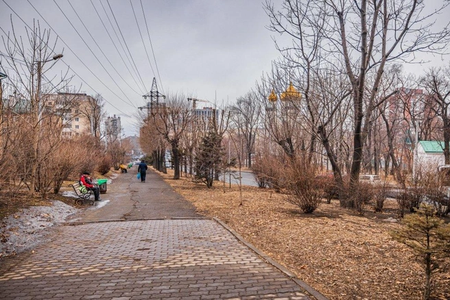 Источник: vlc.ru