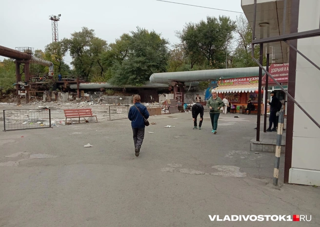 Источник: Екатерина Дымова / VLADIVOSTOK1.RU