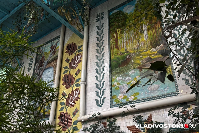 Источник: Елена Буйвол / VLADIVOSTOK1.RU