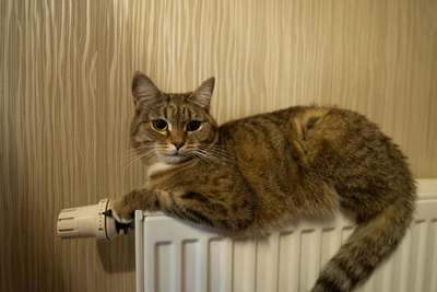 Режим ЧС в Ангарске после аварии на ТЭЦ-9