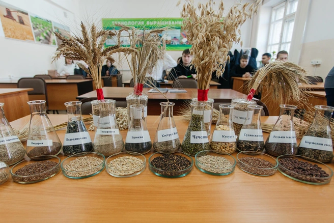 Здесь обучаются специалисты, которые нужны везде: от фермерских хозяйств до заповедников и министерств | Источник: В вузе большой выбор направлений подготовки