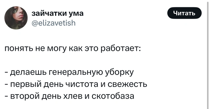 Источник: X (Twitter)