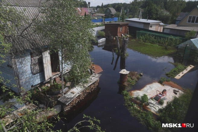 СНТ «Восход» в Орехово-Зуевском городском округе затопило | Источник: Дмитрий Толстошеев / MSK1.RU