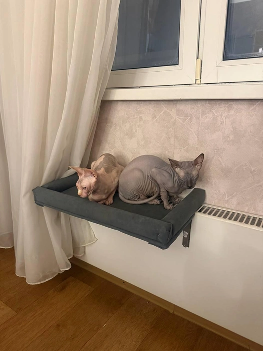 «Соорудили лежанку на батарее» | Источник: читательница NGS24.RU Дарья