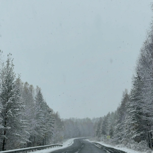 Сумерки. Сага. Рассвет. Мы не можем остановиться | Источник: ivakateen/KateKate / Instagram (экстремистская организация, деятельность запрещена в РФ)