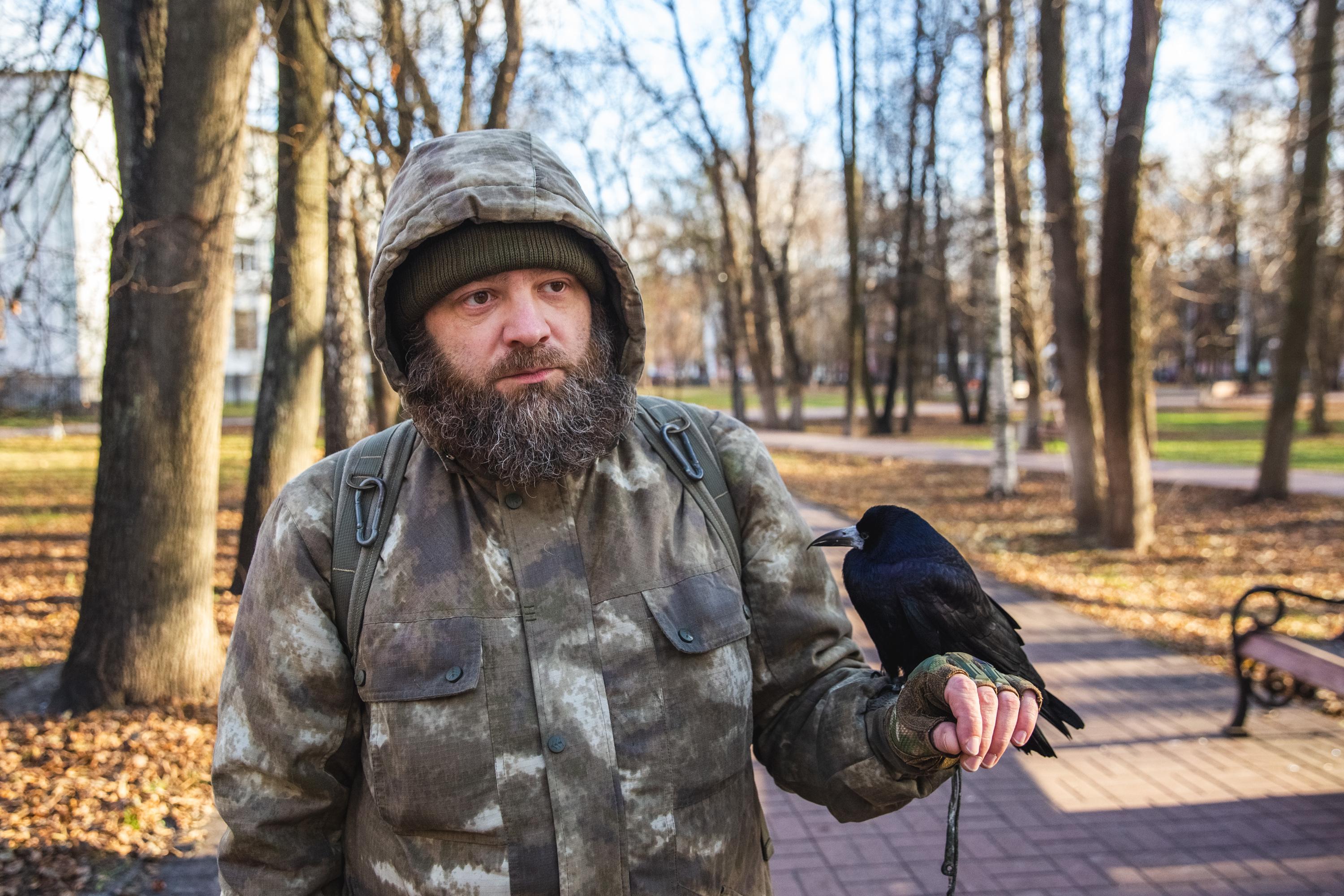 Забрал грача домой с улицы: как приручить птицу, чем кормить грача - 30  ноября 2023 - 76.ру