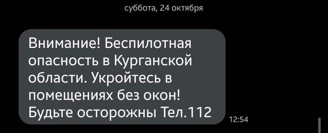 Спустя 10 минут пришла информационная СМС | Источник: Александр Лисихин / 45.RU 
