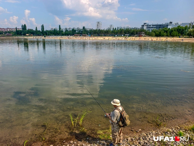Почему бы и не половить рыбку | Источник: Булат Салихов / UFA1.RU
