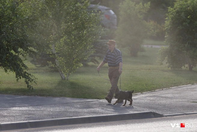Неприятный летний набор долетит до Волгограда в ближайшие часы | Источник: Алексей Волхонский