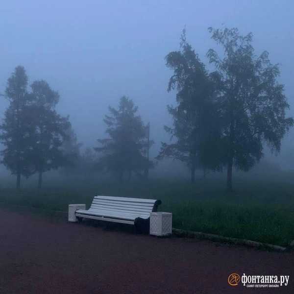 Источник: «Фонтанка.ру»