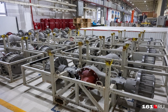 Источник: Евгений Вдовин / 161.RU