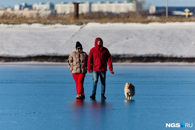 Другие прихватили питомцев | Источник: Александр Ощепков / NGS.RU
