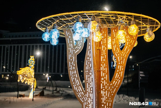 Источник: Максим Серков / NGS42.RU