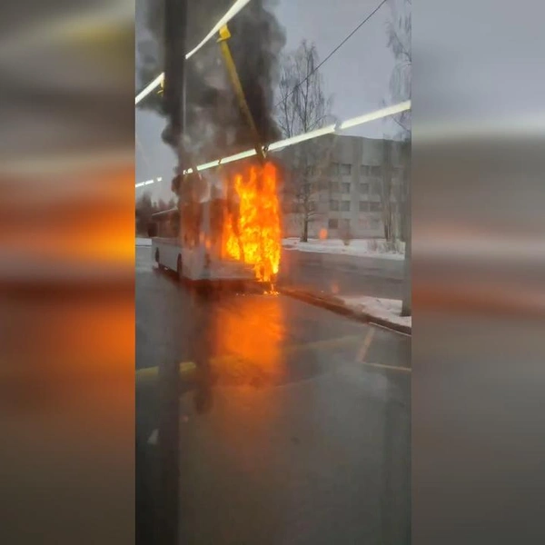 Подробности ЧП с лазурным в Петергофе: загорелся пустой автобус | Источник: читатель «Фонтанки»