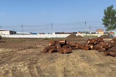 Новый складской комплекс для лиственницы строят в Благовещенске