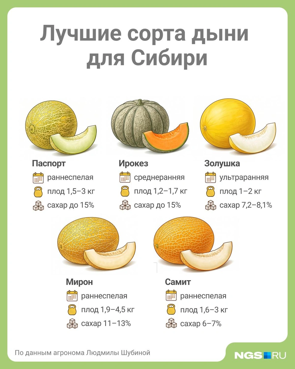 Источник: Юрий Орлов / Городские медиа