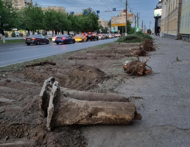 Выкорчевали даже пни, а ямы засыпали | Источник: читатели V1.RU