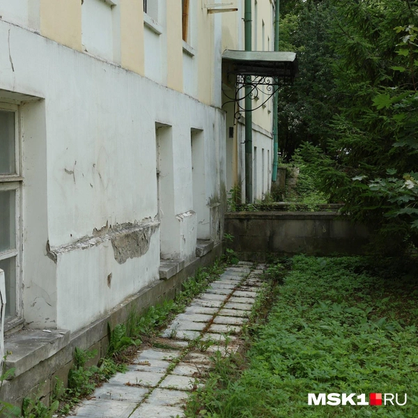 Сорняки прорастают сквозь плитку | Источник: Артем Устюжанин / MSK1.RU