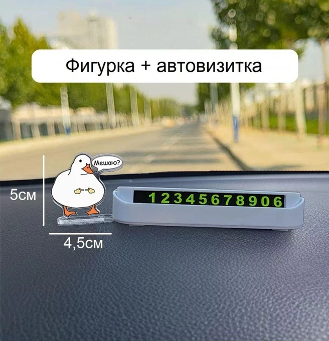 Чтобы избежать возможных конфликтов | Источник: Читатель NGS24.RU