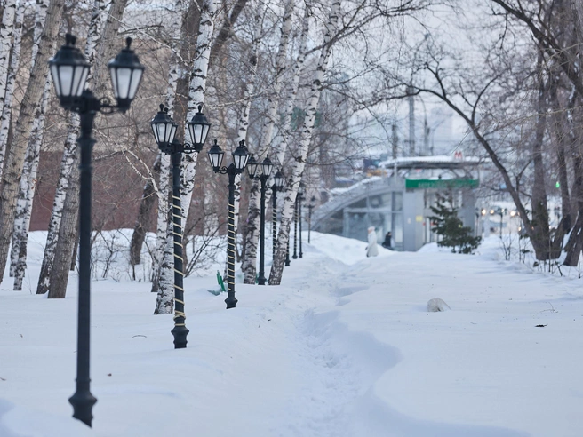 Горожанам приходится пробираться по узким, едва заметным тропинкам. | Источник: Александр Ощепков / NGS.RU