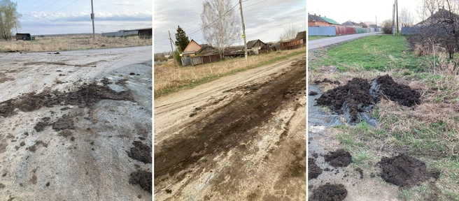 Одна из фаз эскалации: навоз, который раскидали по селу, в том числе у водонапорной башни | Источник: жители поселка Витаминный