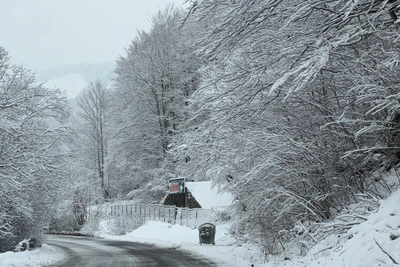 Voronezh residents urged to clear snow as school closures loom