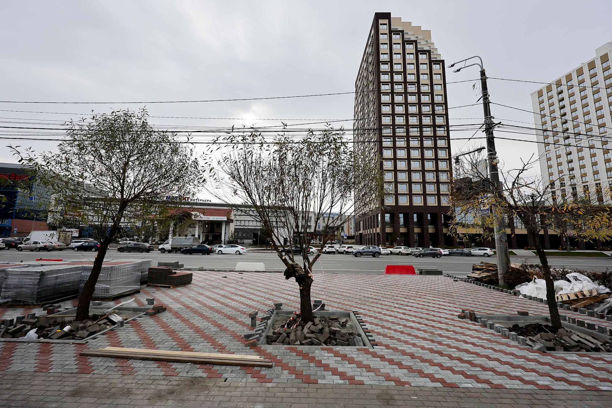 «Вместо взрослых лип — какие-то хилые веточки»: в центре Челябинска снова вырубили деревья