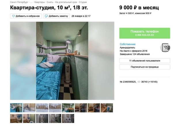 Источник: Скриншот сайта Avito.ru