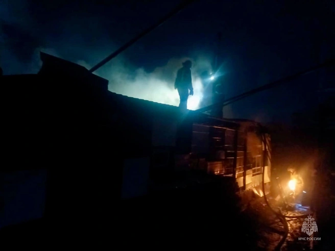 Пожар вспыхнул в темное время суток | Источник: пресс-служба МЧС по Алтайскому краю
