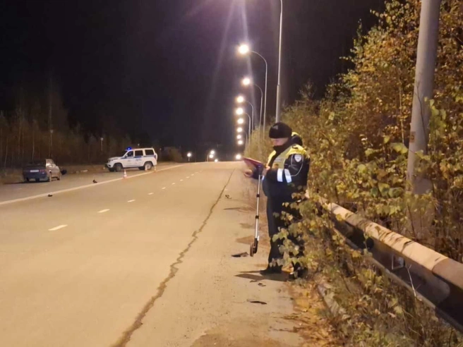В Новоуральске зафиксировано ДТП с участием ВАЗ-2114 и пешехода | Источник: Информация от областной ГИБДД
