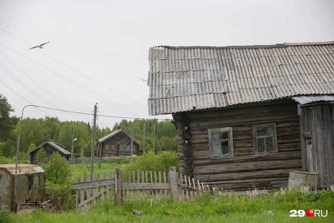 Источник: Иван Митюшёв / 29.RU