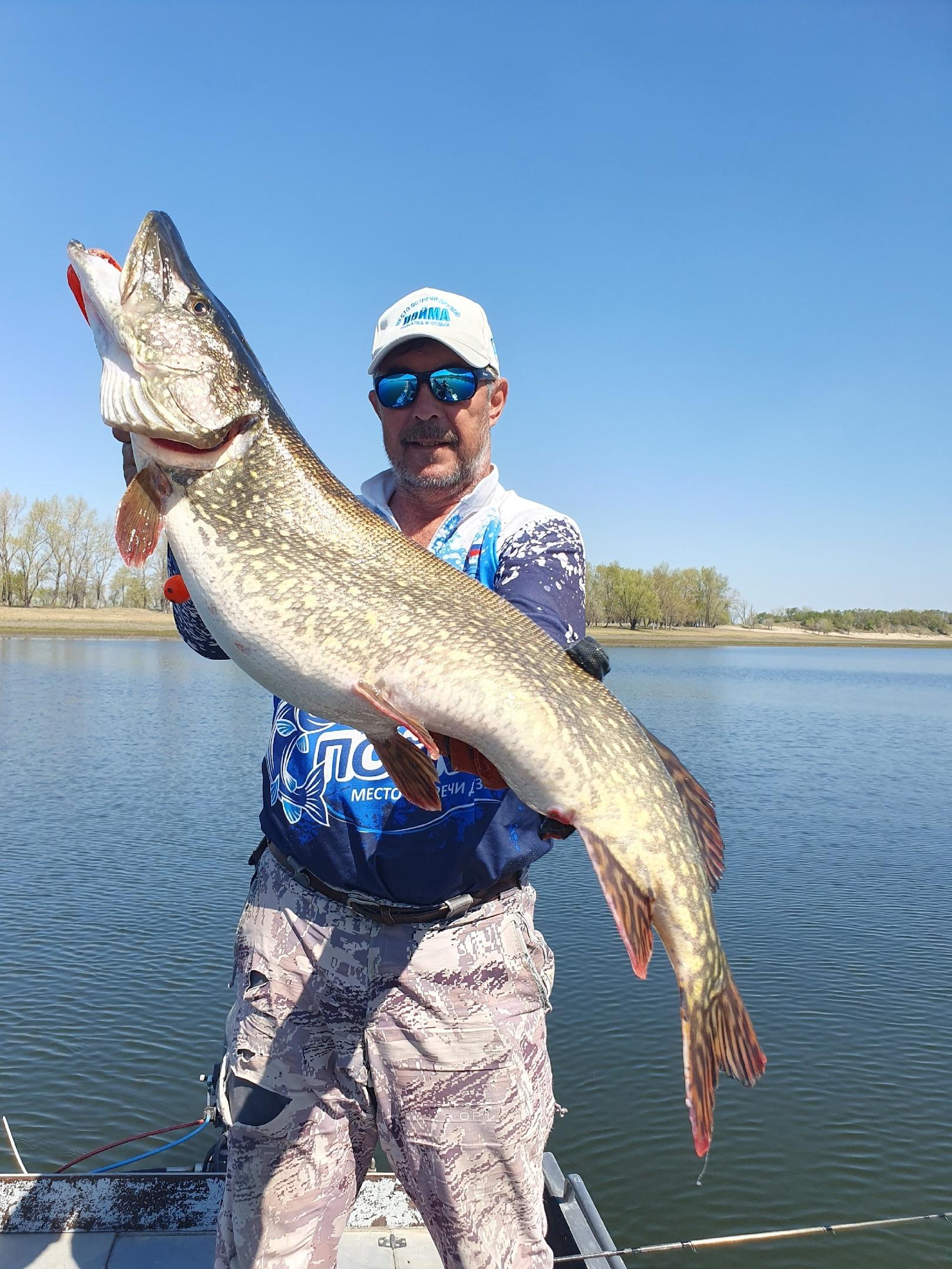 Профессиональный рыбак из Волгограда рассказал, как приготовить нежнейшие котлеты из щуки с секретным ингредиентом — рецепт