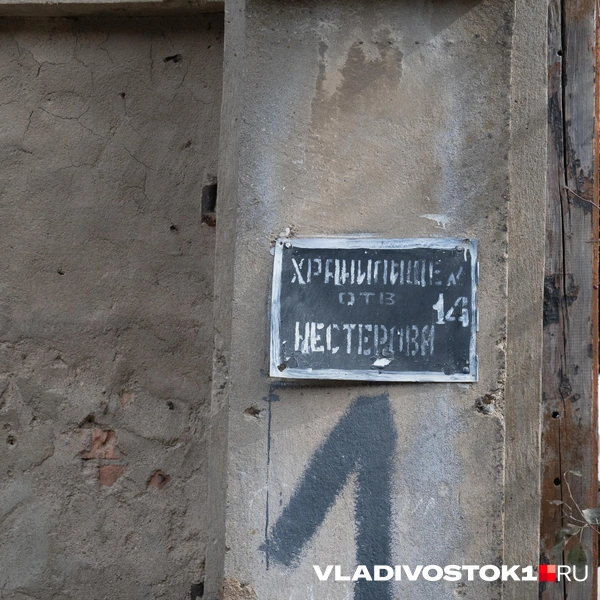 Источник: Елена Буйвол / VLADIVOSTOK1.RU