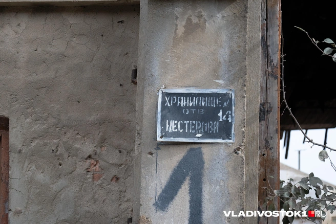 Кто такая Нестерова, неизвестно | Источник: Елена Буйвол / VLADIVOSTOK1.RU