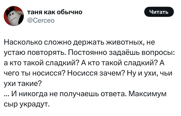 Источник: X (Twitter)
