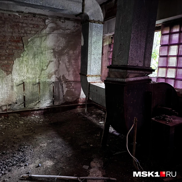 Источник: Алина Мельникова / MSK1.RU
