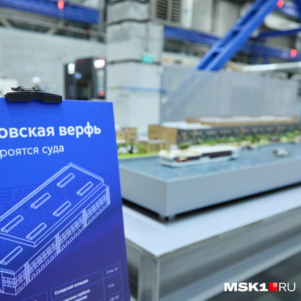 Источник: Дмитрий Толстошеев / MSK1.RU