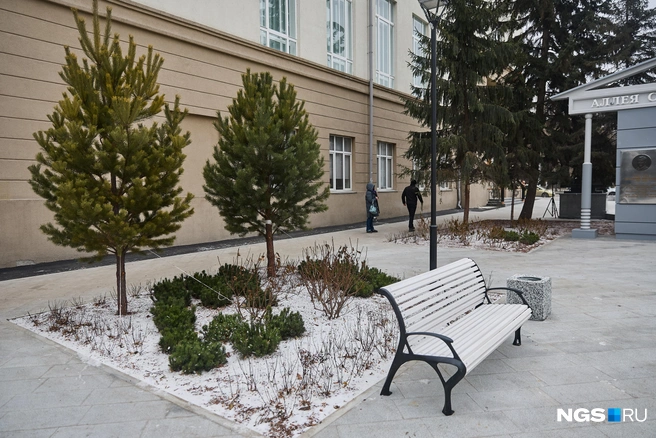 У памятника поставили новые скамейки и сделали озеленение | Источник: Александр Ощепков / NGS.RU