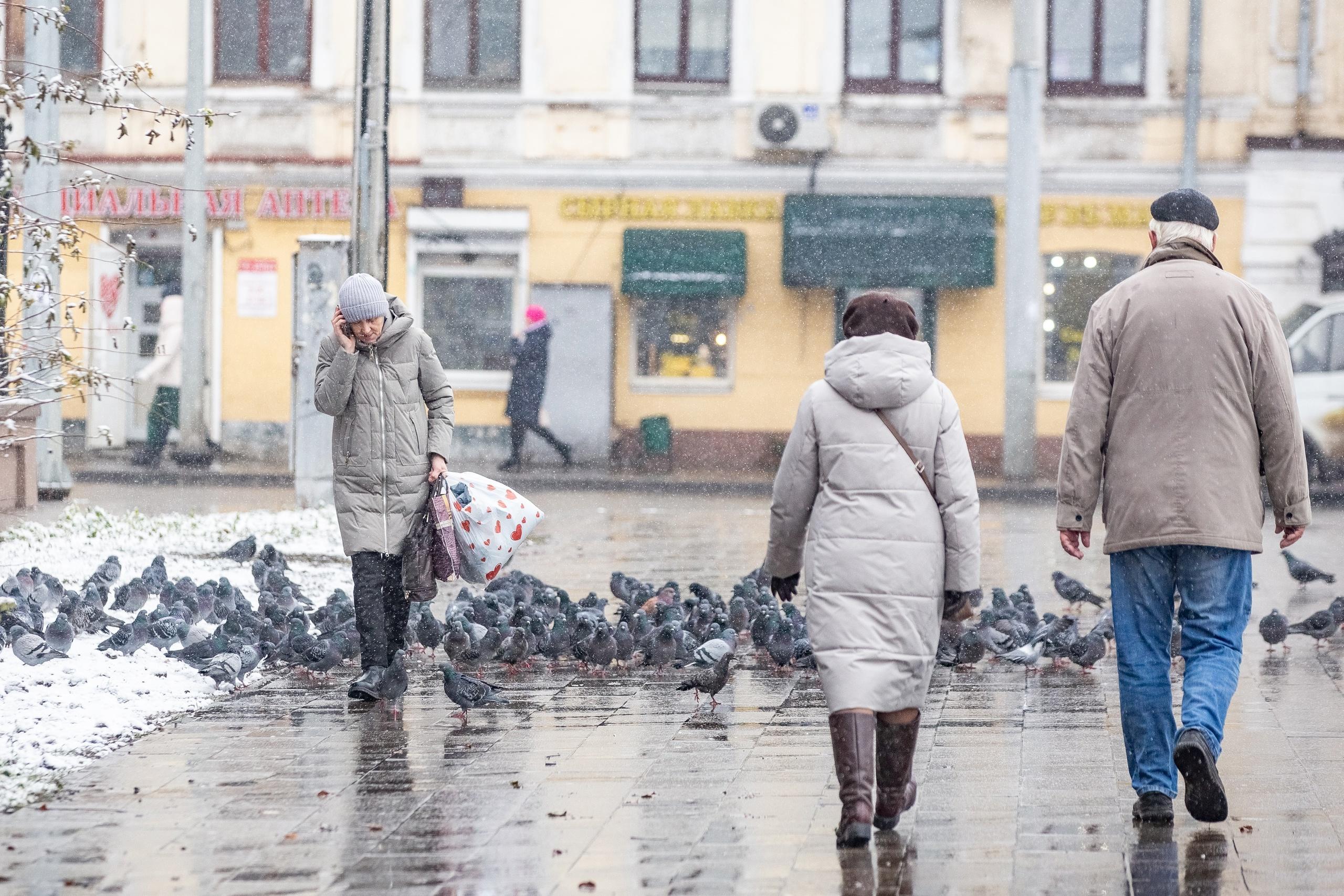 Сказывается глобальное потепление? В Ярославле зима стала на месяц короче