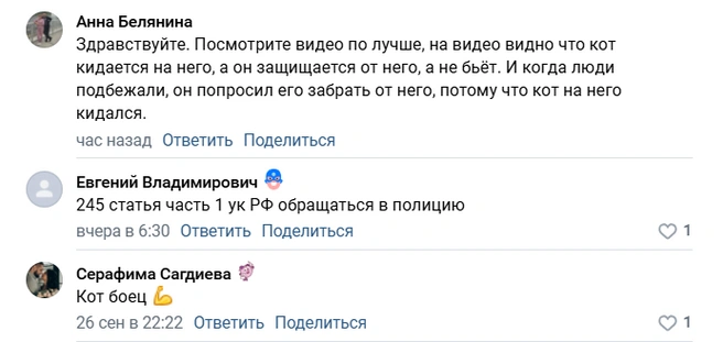 Первый комментарий очевидцы приписывают хозяйке кота | Источник: Наш мкр. Солнечный / vk.com