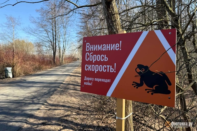 Источник: Валентин Егоршин / «Фонтанка.ру»