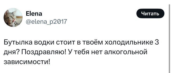 Шутки вторника и «ДРЕВЕСНЫЙ НИНДЗЯ ВОРОНИН»