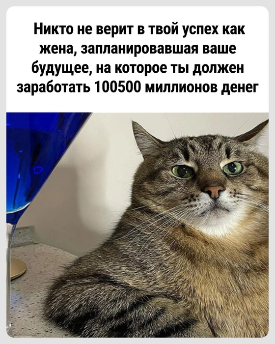 С такой женой придется быть успешным  | Источник: Городские медиа