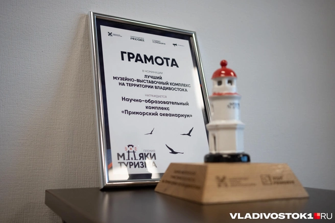 Океанариум имеет множество наград | Источник: Елена Буйвол / VLADIVOSTOK1.RU