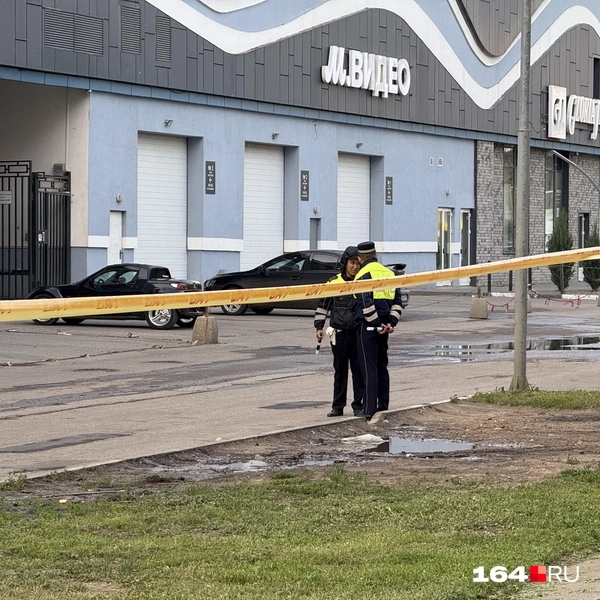 Источник: Сергей Петунин / 164.RU